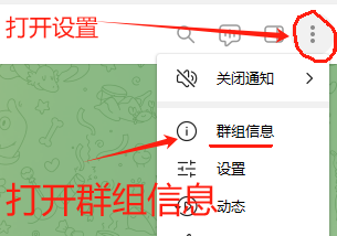 纸飞机打开群组信息
